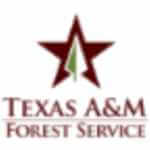 Texas A&M Forest Service Logo